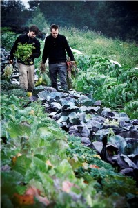 The organic restaurant Radio grows its own organic vegetables.