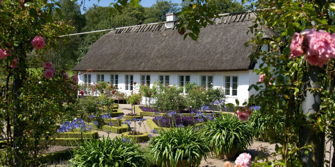 Afternoon tea in the most lovely of rose gardens a different summer
